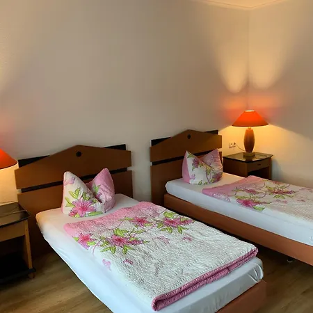 Und Zur Libelle 公寓 卢森塔尔