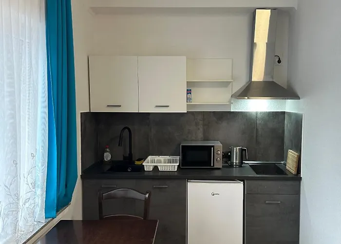 Und Zur Libelle Daire Luisenthal