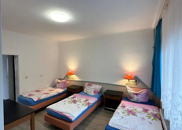 Und Zur Libelle Daire