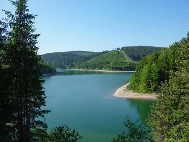 Daire Und Zur Libelle