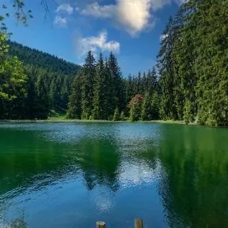 Daire Und Zur Libelle *