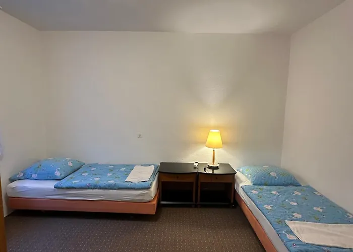 Und Zur Libelle Daire Luisenthal